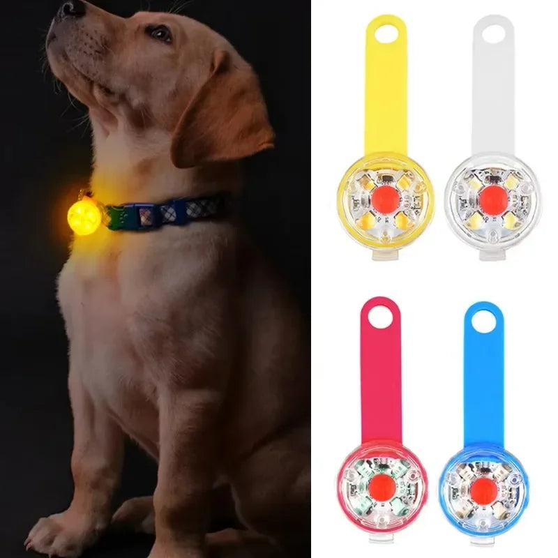 LumiGlow LED dog collar