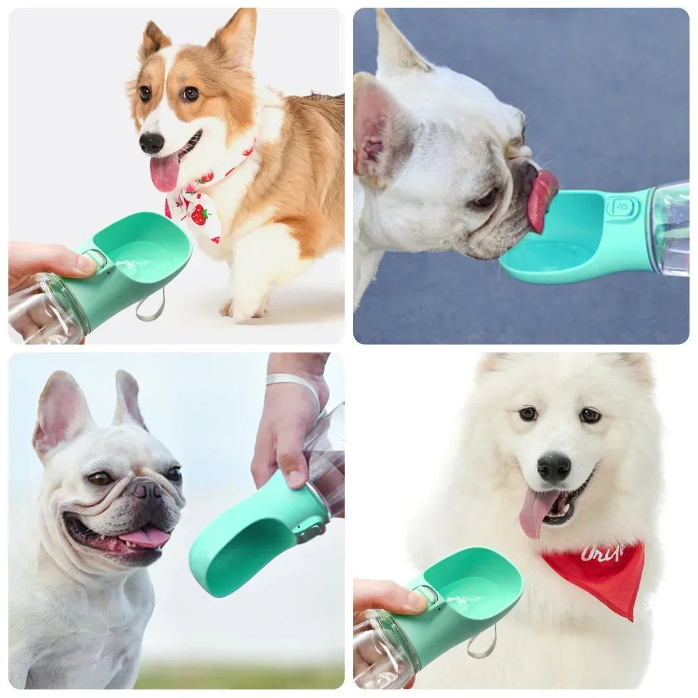 LumiSip Portable dog water bottle