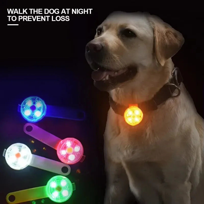 LumiGlow LED dog collar
