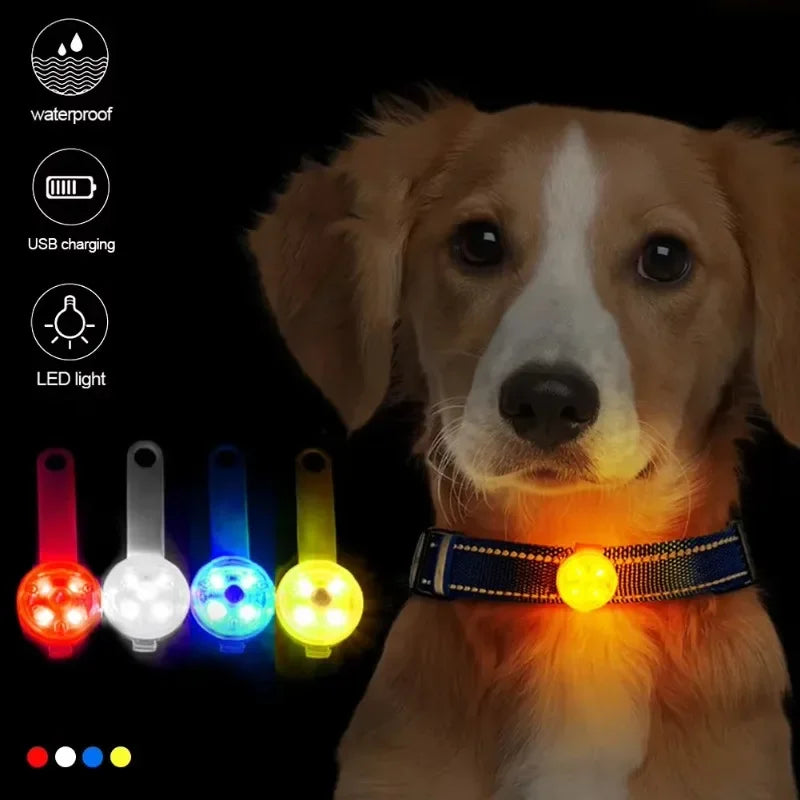LumiGlow LED dog collar